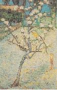 Vincent Van Gogh Flowering Pear-Tree painting